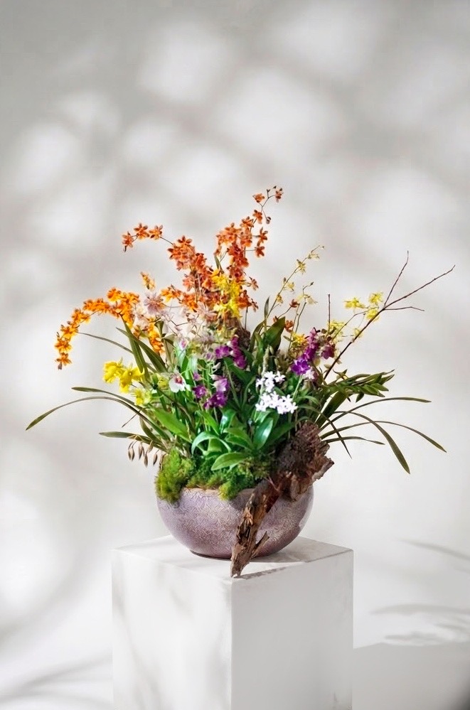 淺紫陶盆中橘黃文心蘭與紫白蘭花交織的蘭花作品